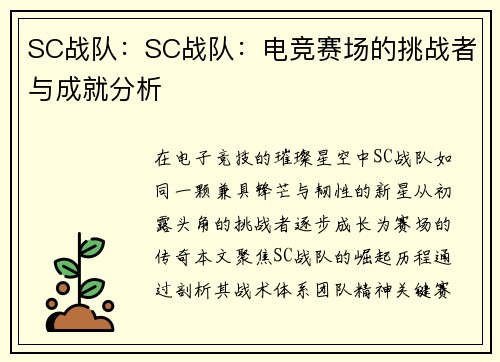 SC战队：SC战队：电竞赛场的挑战者与成就分析