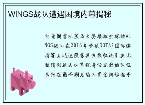 WINGS战队遭遇困境内幕揭秘